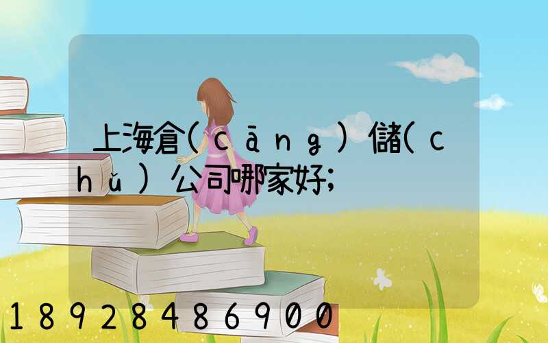 上海倉(cāng)儲(chǔ)公司哪家好