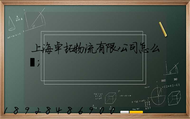 上海卓拓物流有限公司怎么樣