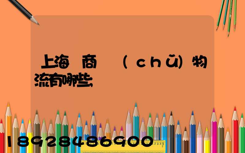 上海電商倉儲(chǔ)物流有哪些