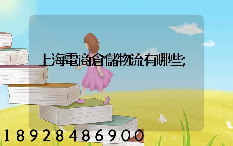 上海電商倉儲物流有哪些