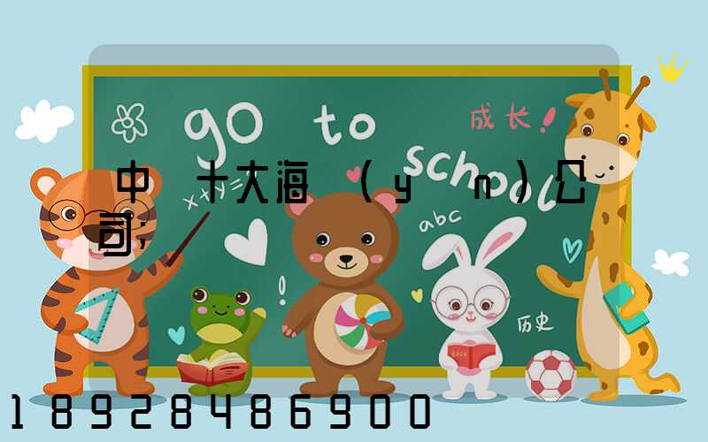 中國十大海運(yùn)公司