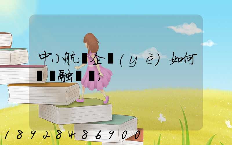 中小航運企業(yè)如何應對融資難