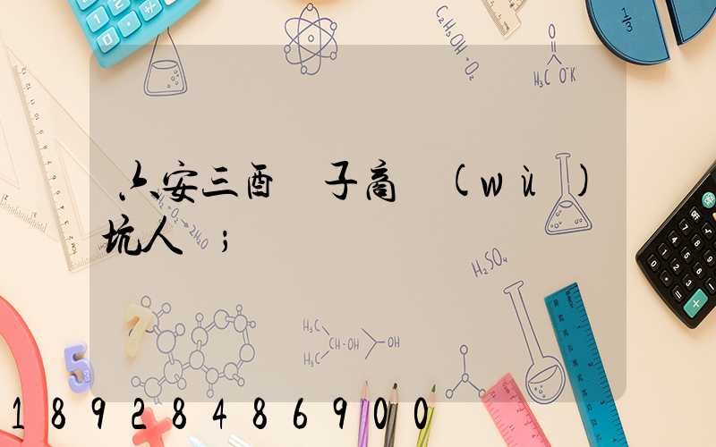 六安三酉電子商務(wù)坑人嗎