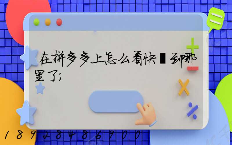 在拼多多上怎么看快遞到哪里了