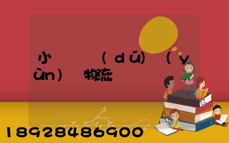 小貨車單獨(dú)運(yùn)輸物流