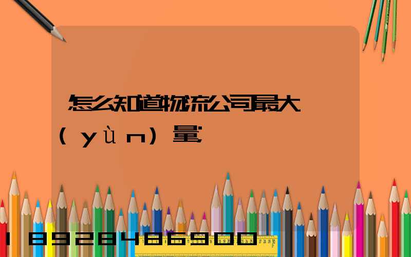 怎么知道物流公司最大貨運(yùn)量