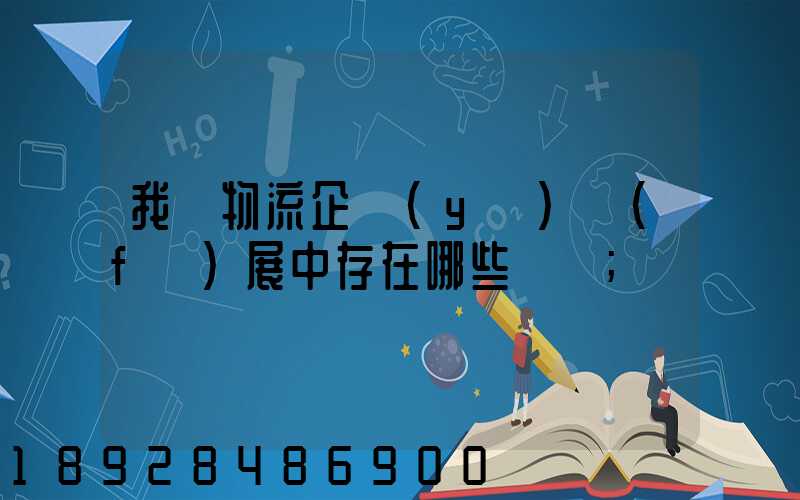 我國物流企業(yè)發(fā)展中存在哪些問題