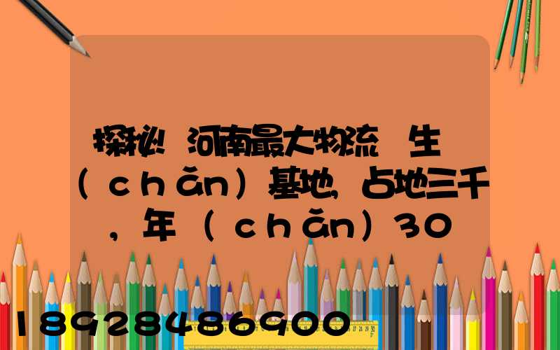探秘!河南最大物流車生產(chǎn)基地,占地三千畝,年產(chǎn)30萬(wàn)輛