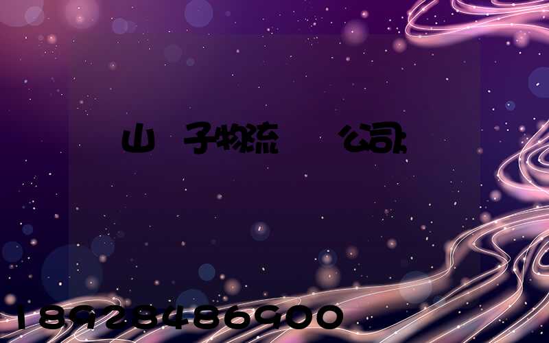 樂山電子物流運輸公司