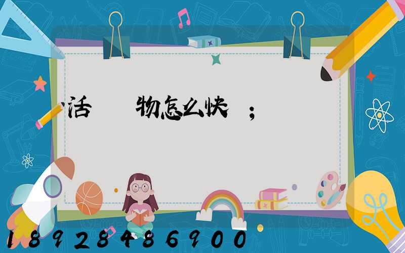 活體寵物怎么快遞