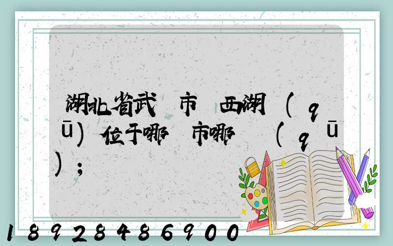 湖北省武漢市東西湖區(qū)位于哪個市哪個區(qū)