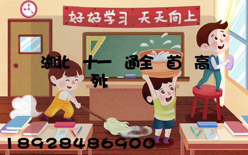 湖北雙十一開通全國首條高鐵貨運專列