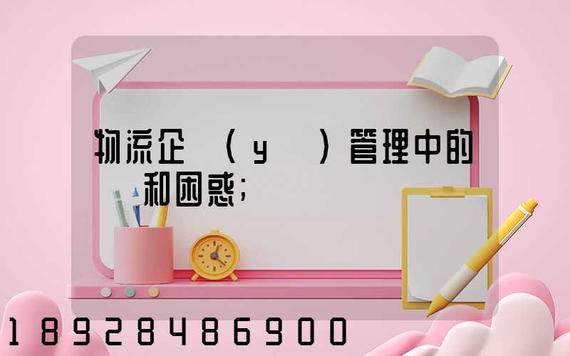 物流企業(yè)管理中的問題和困惑