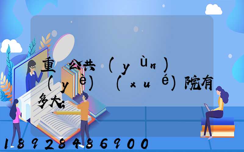 重慶公共運(yùn)輸職業(yè)學(xué)院有多大