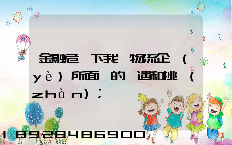 金融危機下我國物流企業(yè)所面對的機遇和挑戰(zhàn)