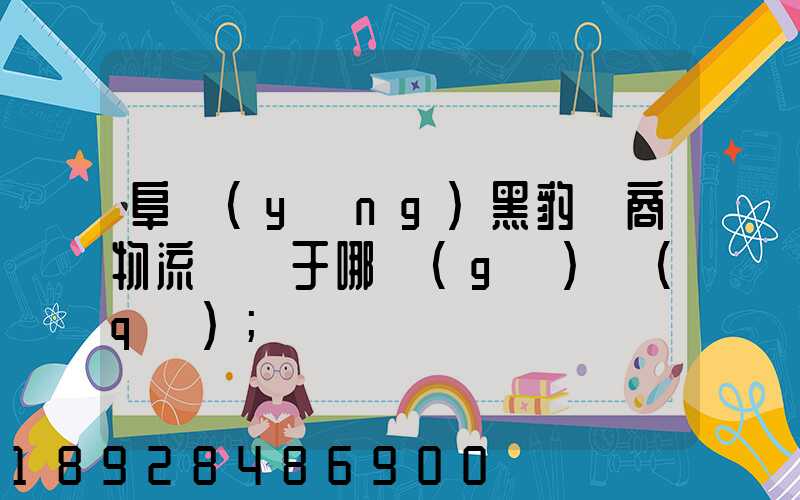 阜陽(yáng)黑豹電商物流園屬于哪個(gè)區(qū)