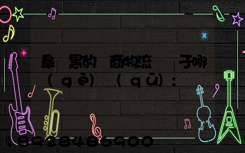 阜陽黑豹電商物流園屬于哪個(gè)區(qū)