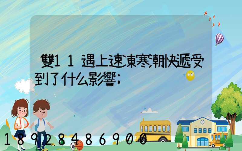 雙11遇上速凍寒潮快遞受到了什么影響